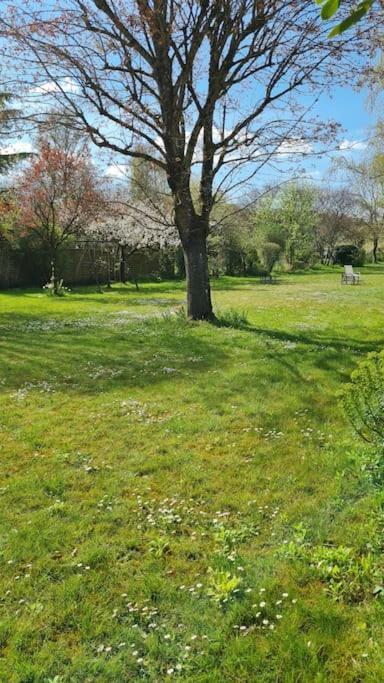 Belle Suite Dans Corps De Ferme - Logement Alicia Villiers-sous-Grez Kültér fotó