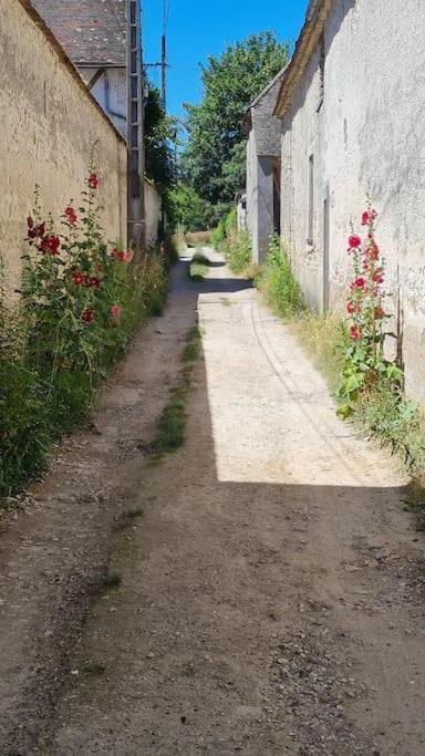 Belle Suite Dans Corps De Ferme - Logement Alicia Villiers-sous-Grez Kültér fotó